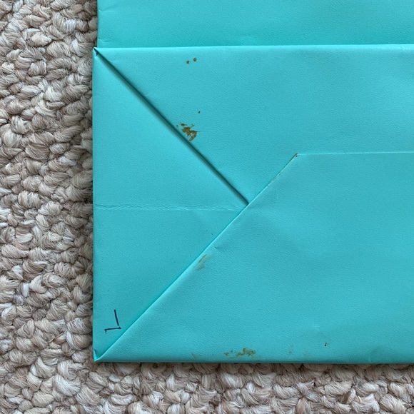 Authentic Tiffany & Co. bag - Picture 3 of 7